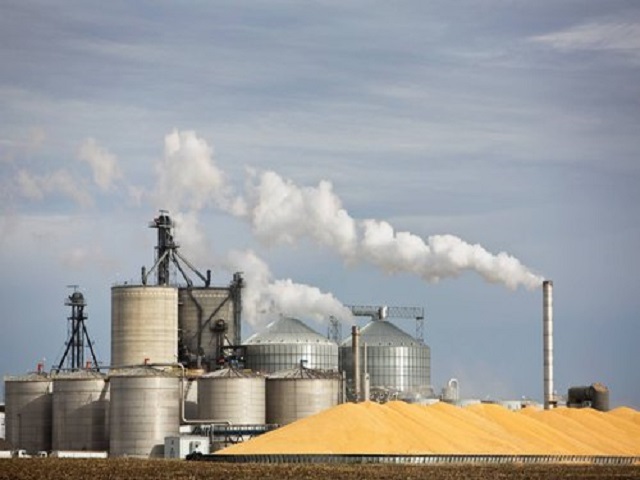ethanol production