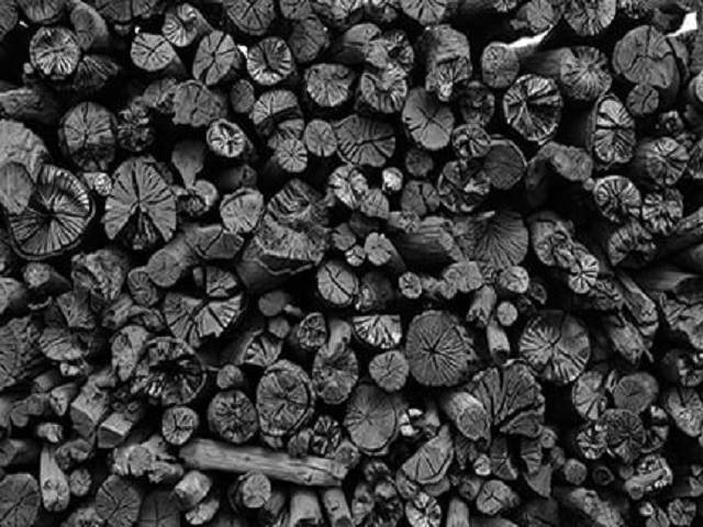 Biochar Dryer